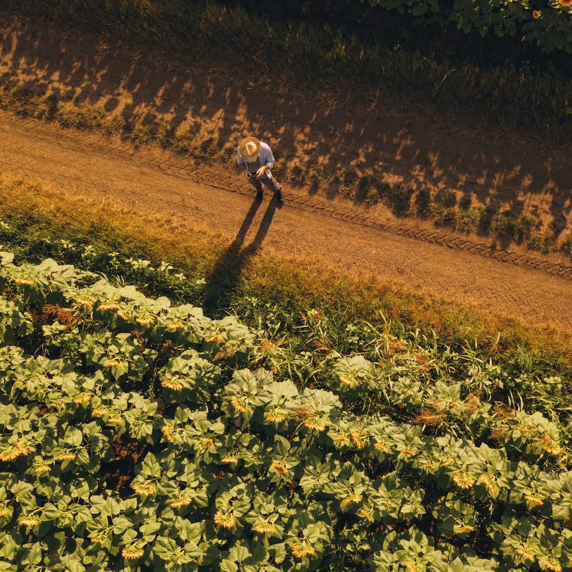 Vidéo corporate pour OCP - Production par AR PICTURES