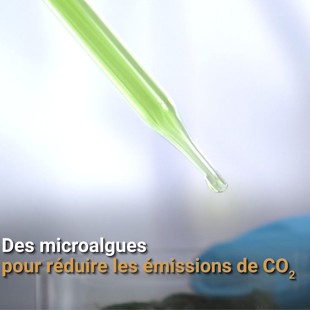 Vidéo corporate sur la Décarbonisation pour Ciments Du Maroc 